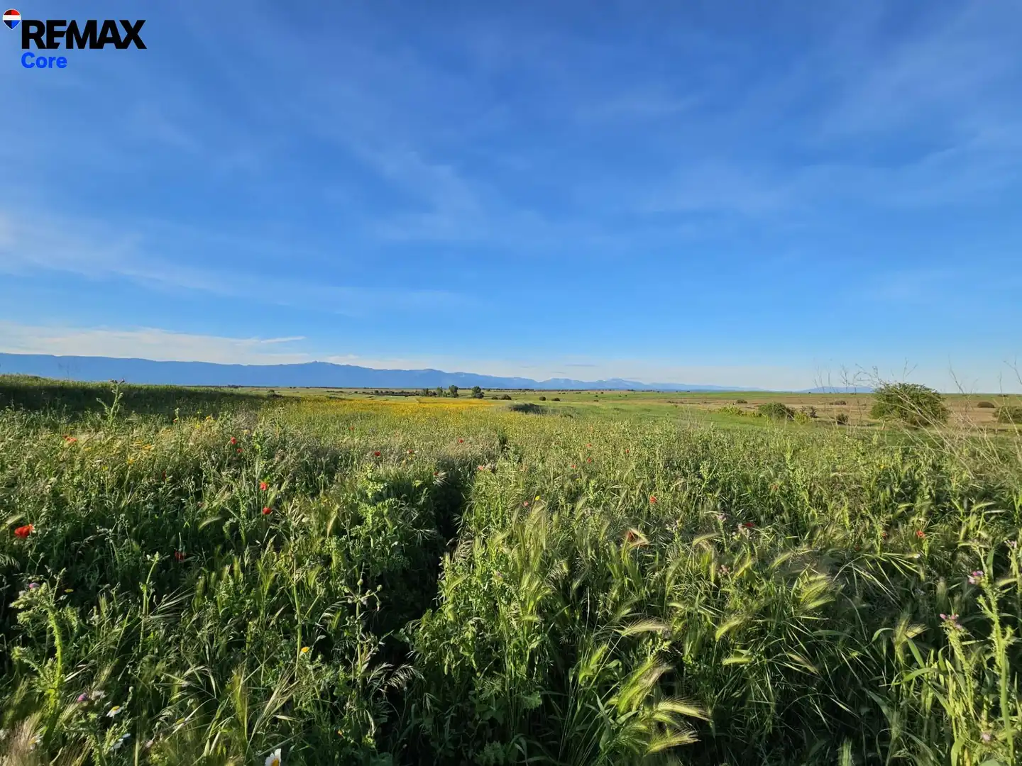 Terreny rústic en venda a Calzada de Oropesa, imagen 4