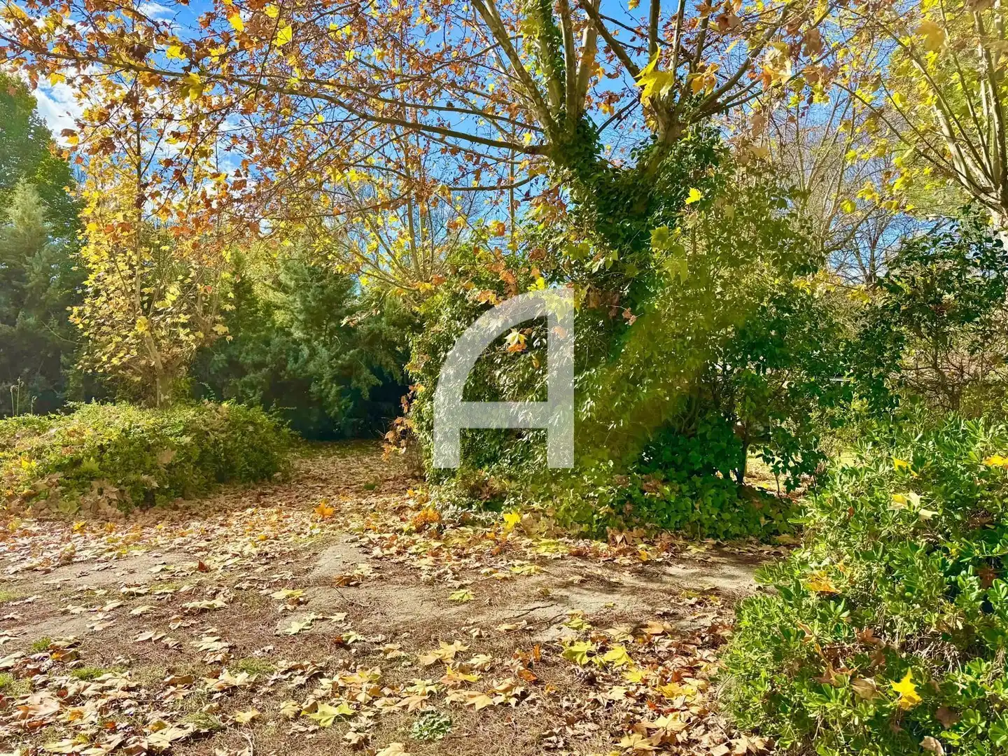 Rustikales Grundstück zum Verkauf in CASTILLO DE ALARCON, imagen 8