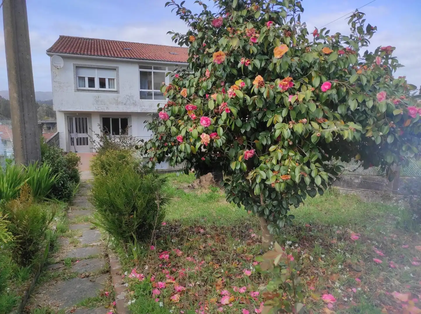 Casa amb terrassa en venda a Campus Sur - Santa Marta, imagen 5