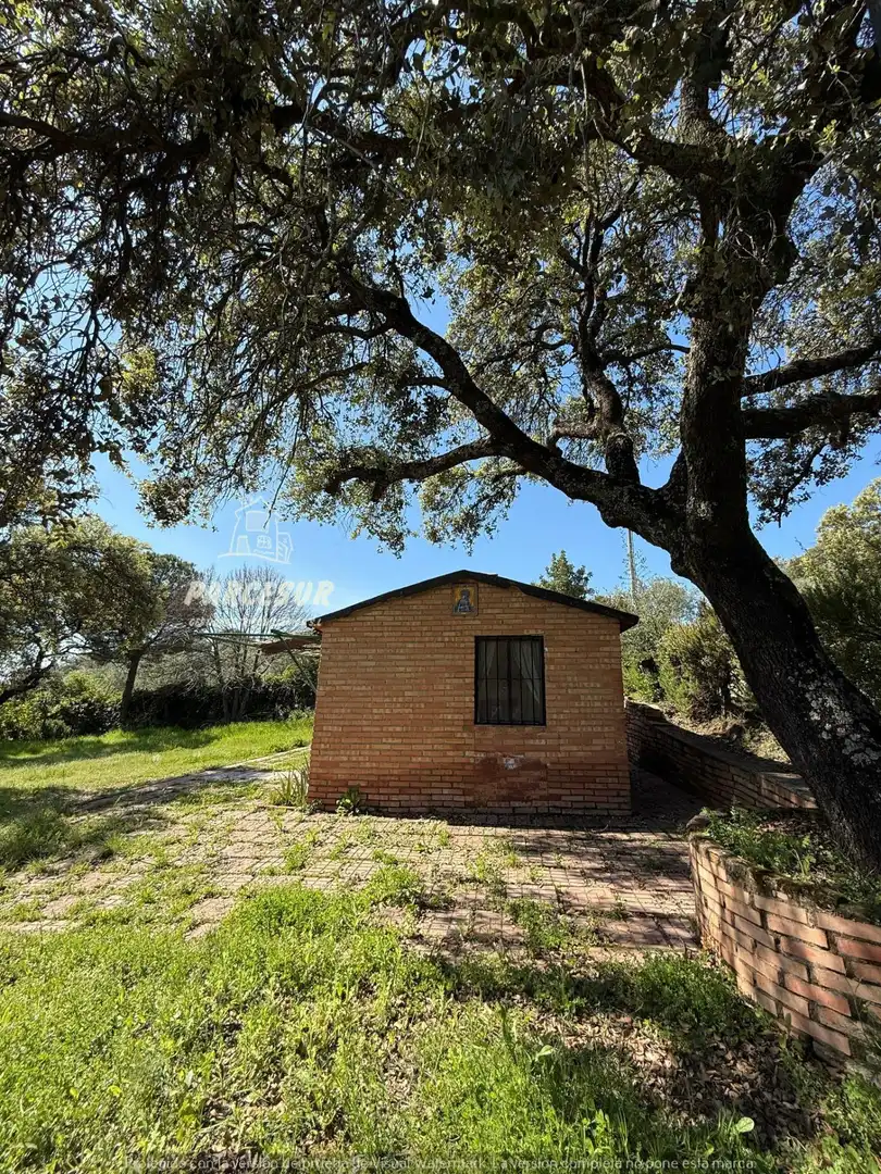 Vista exterior de Finca rústica en venda en Córdoba amb Jardí privat i Traster
