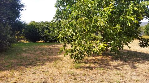 SE VENDE TERRENO EDIFICABLE EN TOMIÑO, immagine 2
