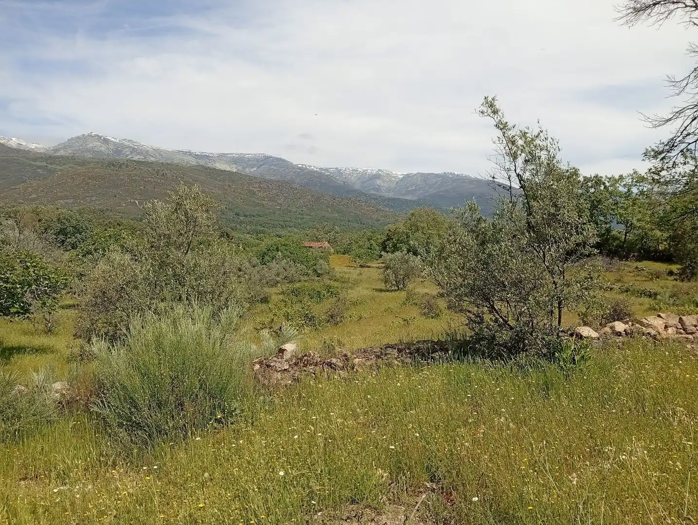 Terreni e lotti in vendita a Villanueva de la Vera, imagen 19