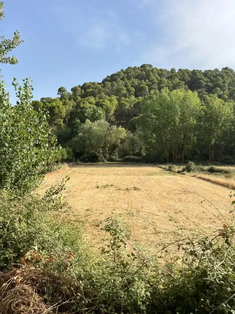 Finca rústica en venda en Jayena, Granada
