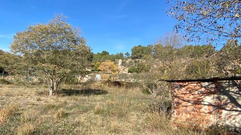 SE VENDE TERRENO DE HORTICULTURA EN SANT QUINTI DE MEDIONA, immagine 4