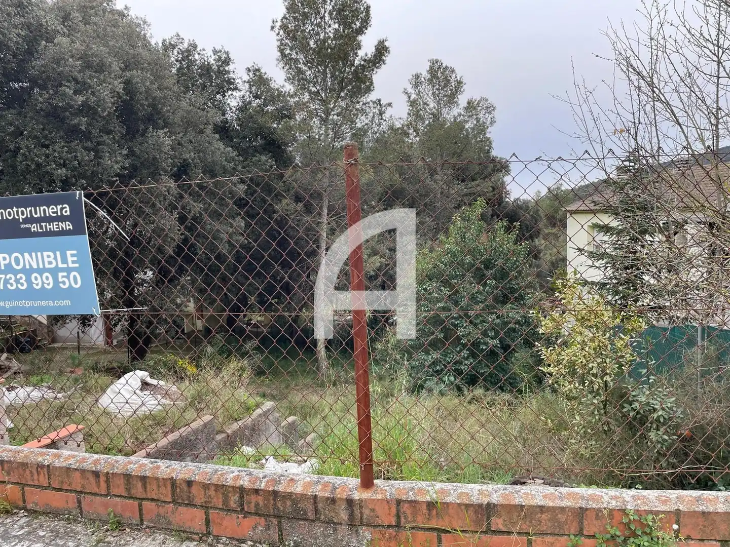 Terreno rústico en venta en Estació, imagen 4