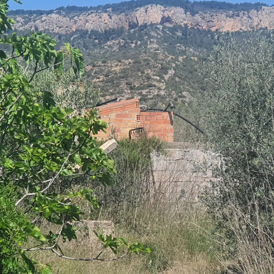 Vista exterior de Edificio en venta en El Pinell de Brai