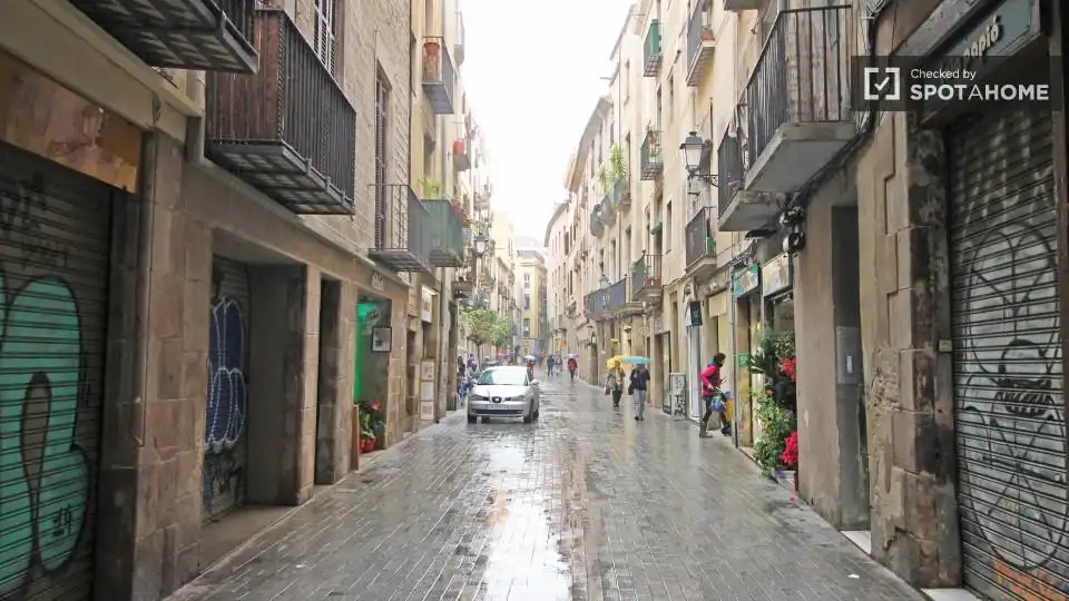 Appartamento con terrazza in affitto a Ciutat Vella, imagen 9