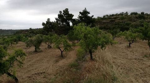 Finca Rúst. en venta en Castelldans., immagine 3