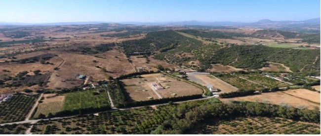 Finca rústica en venta en San Martín del Tesorillo