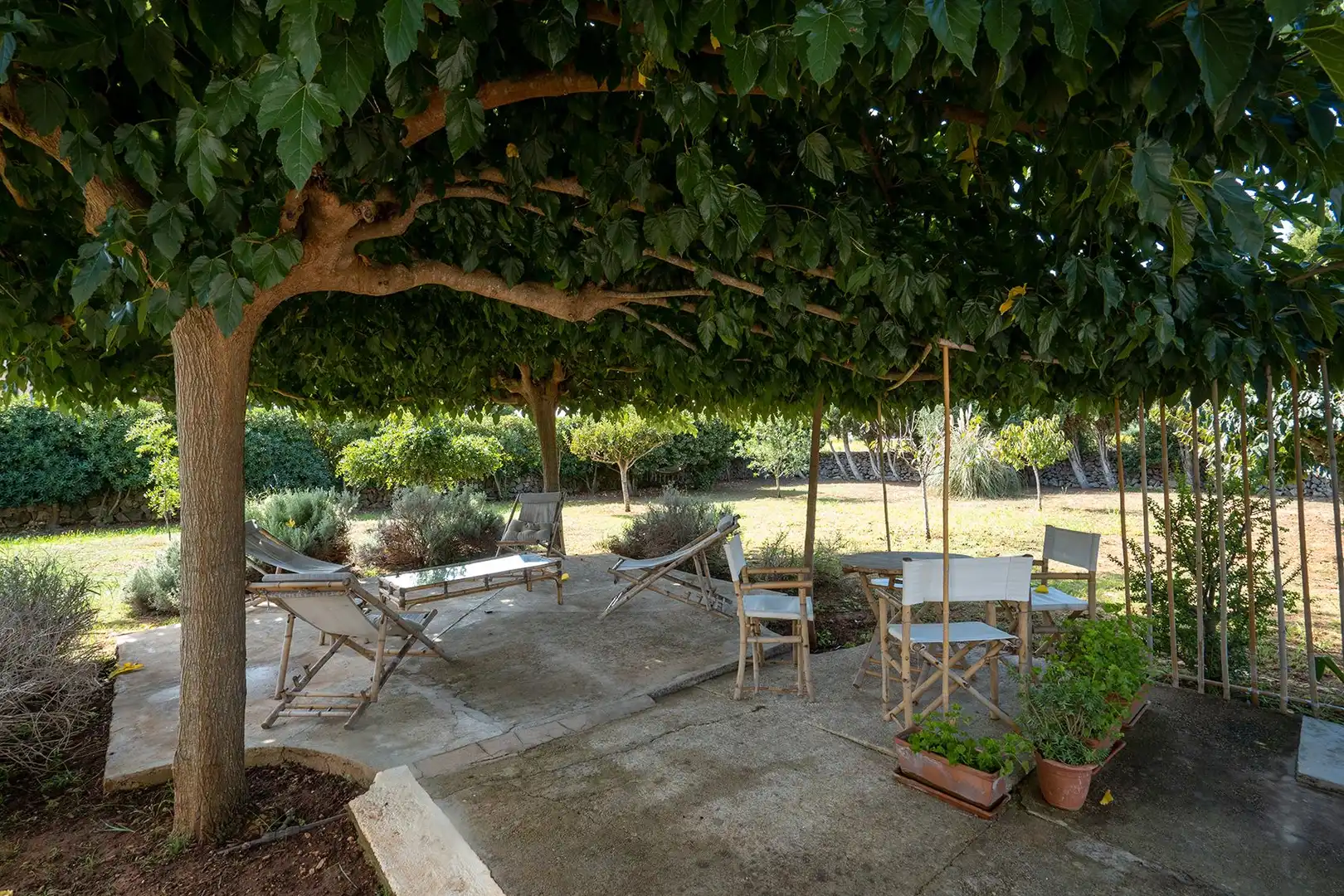 Landhaus mit Pool zum Verkauf in Alaior poble, imagen 9