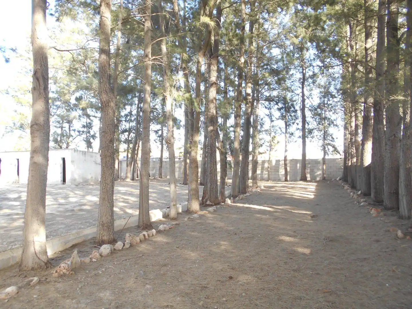 Finca rústica en venda en Oliva