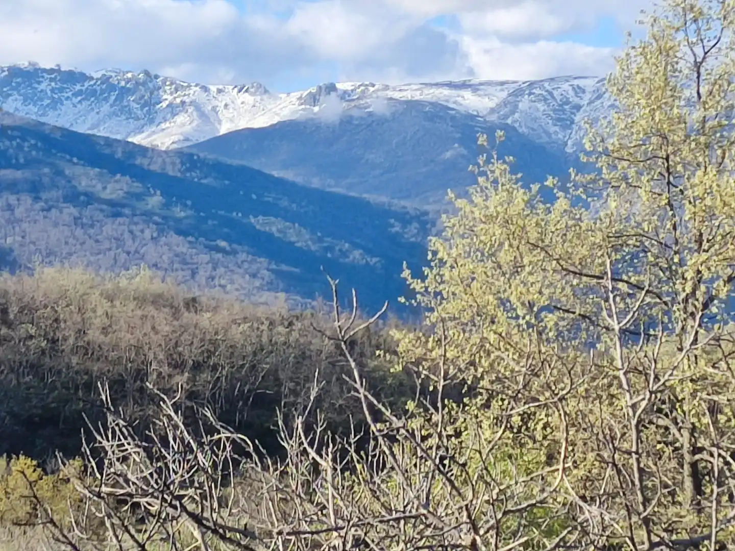 Terreni e lotti in vendita a Navalmoral de la Mata