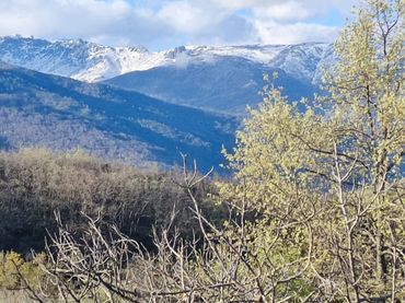 Terreno rústico en venta en Navalmoral de la Mata
