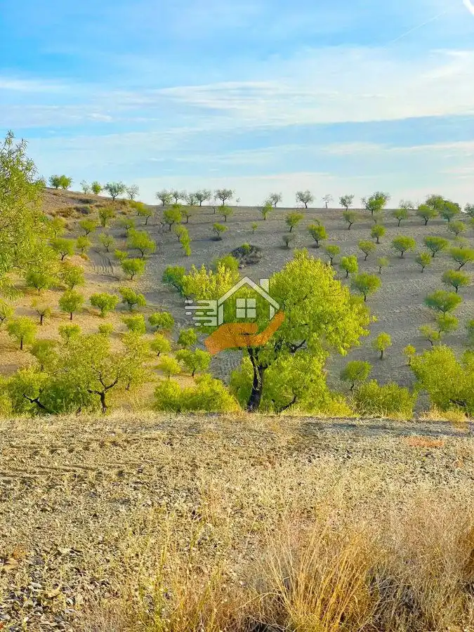 Maison rustique à vendre à Vélez-Rubio, imagen 25