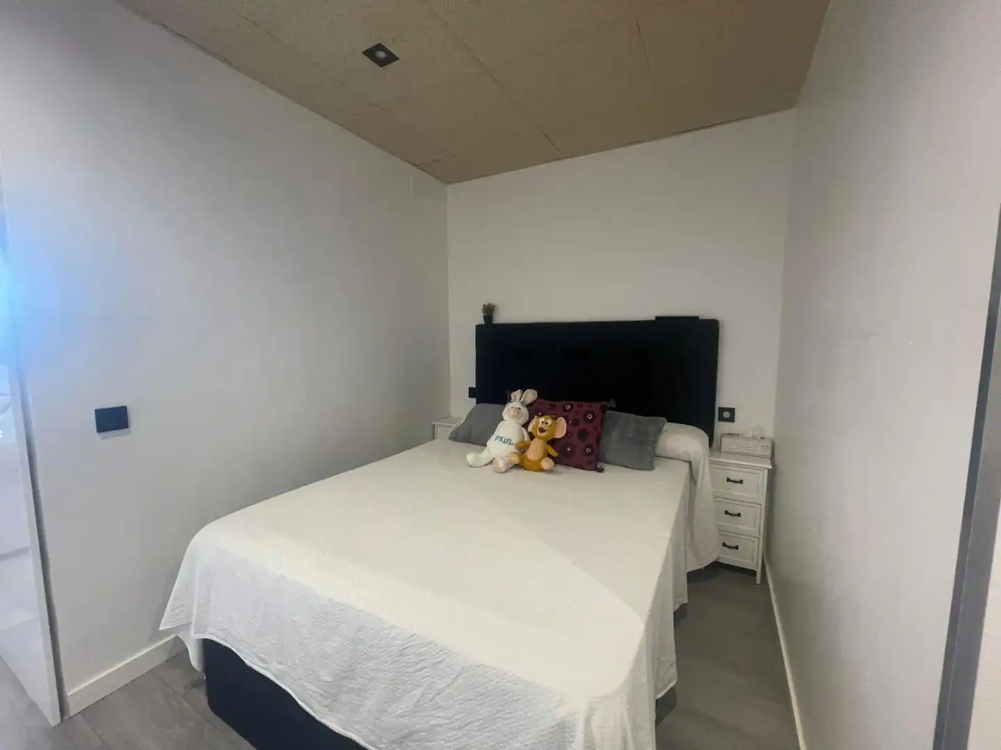 Loft with lift for sale in Carrer Muga-Delta 17D, imagen 10