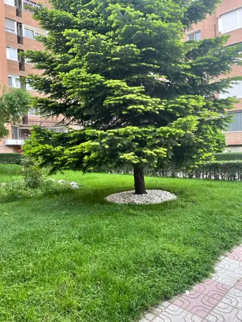 Garten von Wohnung zum Verkauf in Coslada mit Klimaanlage, Heizung und Terrasse