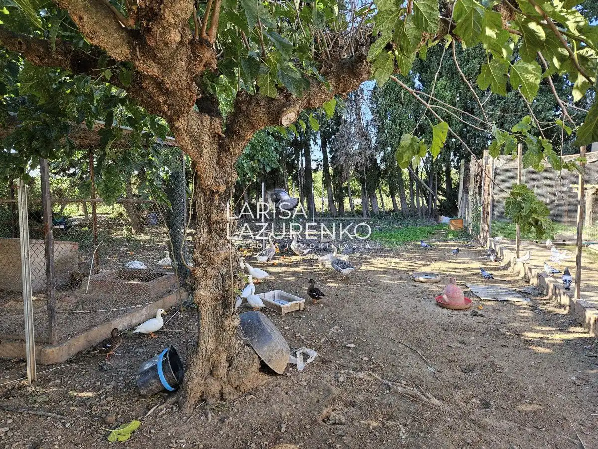 Finca rústica en venda en Vinyols i els Arcs