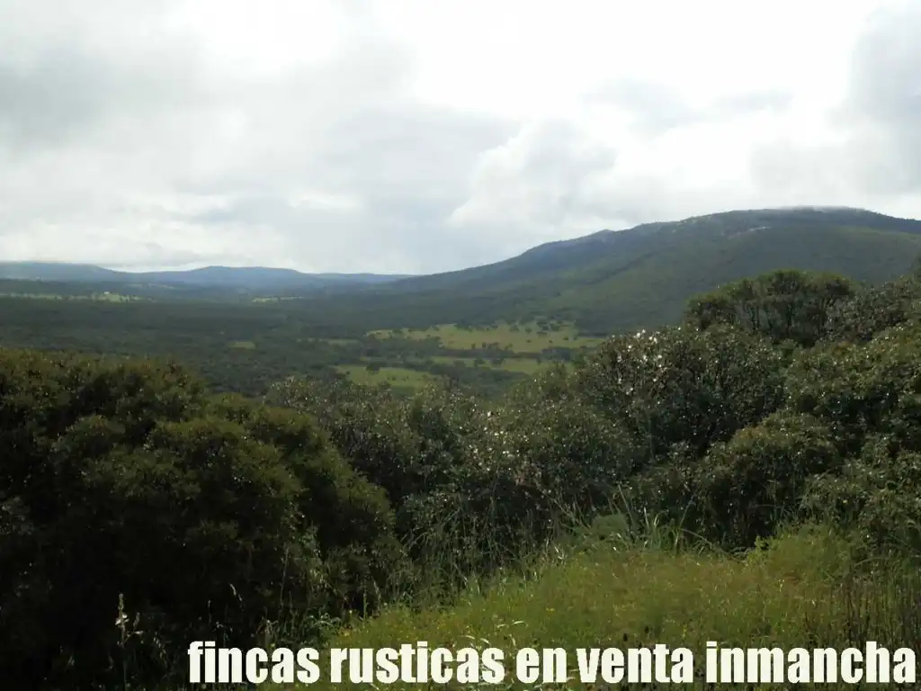 Terreno rústico en venta en Abenójar, imagen 15