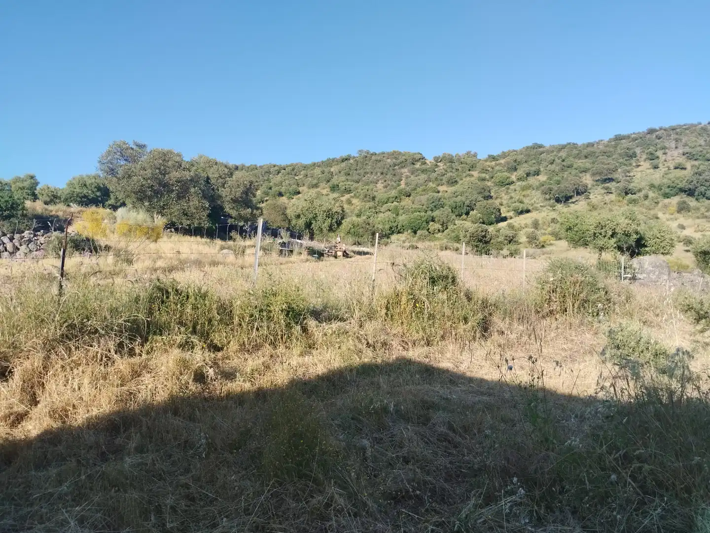 Terreno rustico in vendita a Burguillos del Cerro, imagen 4