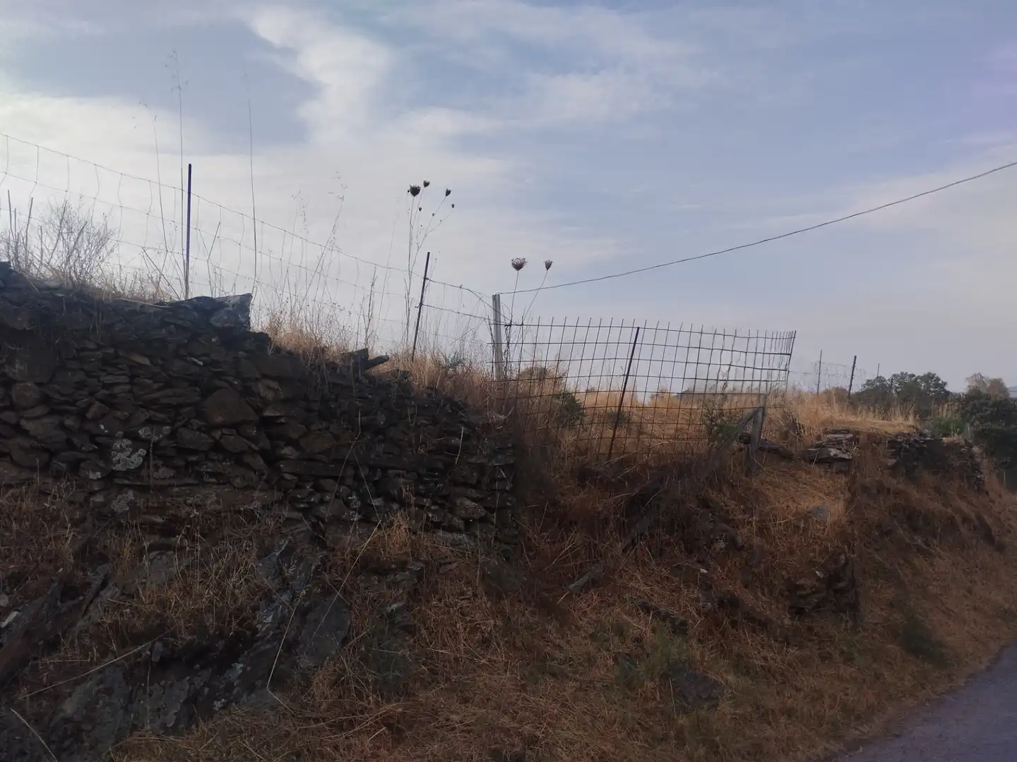 Terreni e lotti in vendita a Jerez de los Caballeros, imagen 22