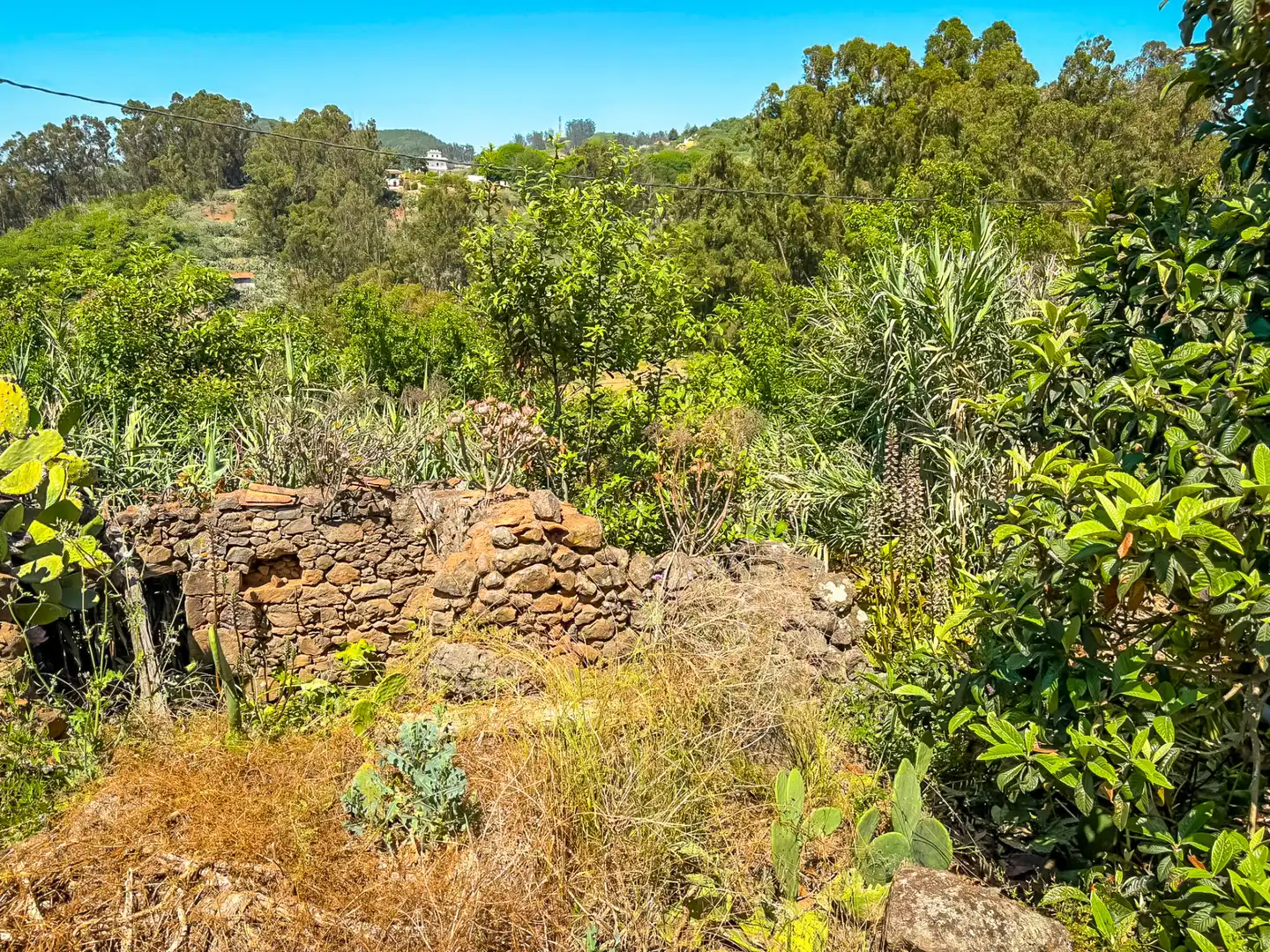 Casa o chalet en venta en Valleseco