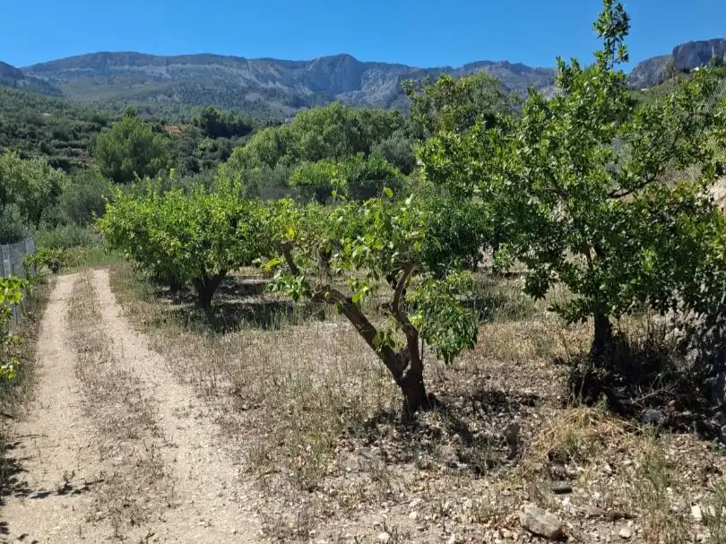 Grundstücke zum Verkauf in Beniardà