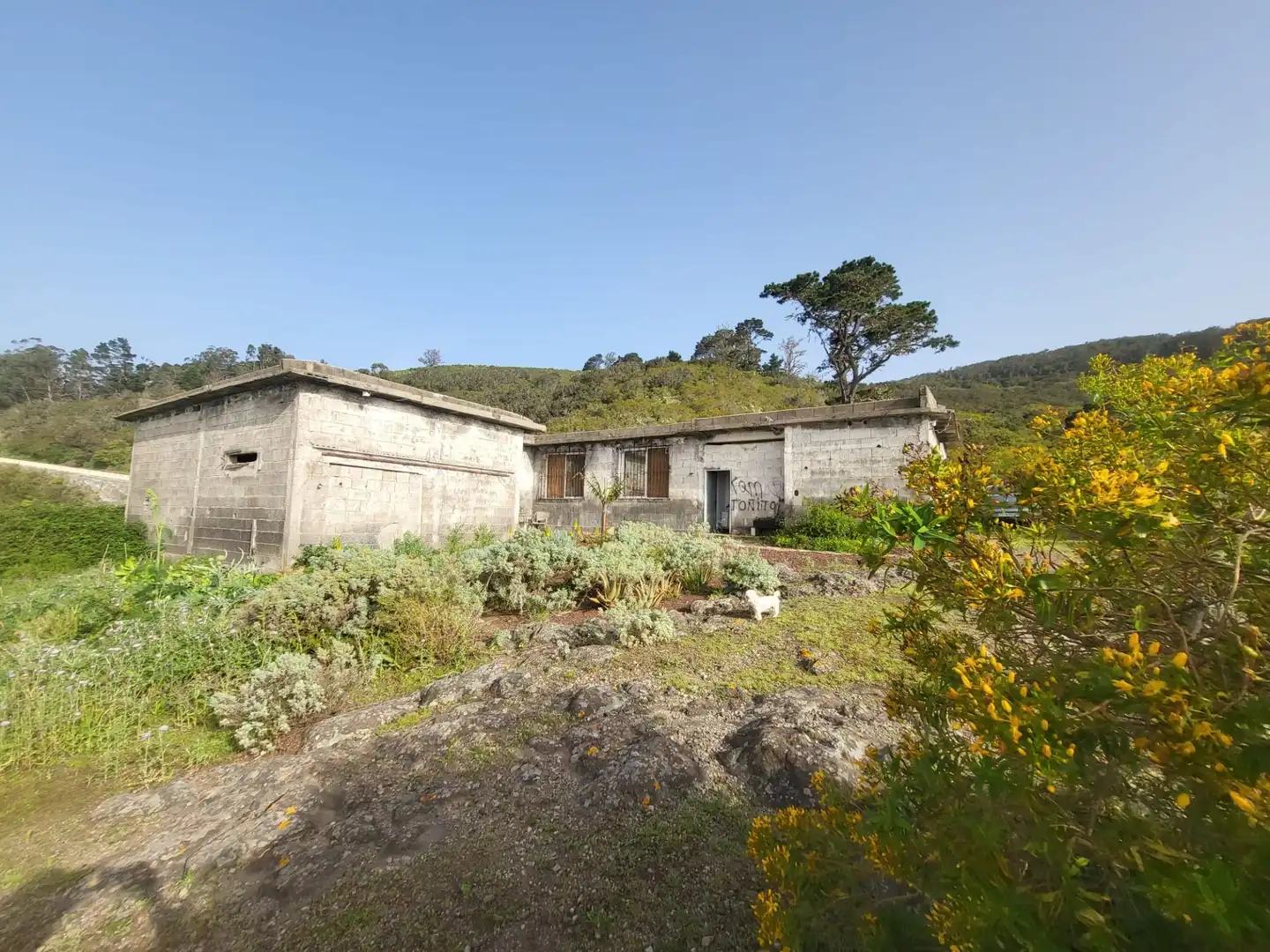 Maison rustique à vendre à Tierra del Trigo, imagen 3