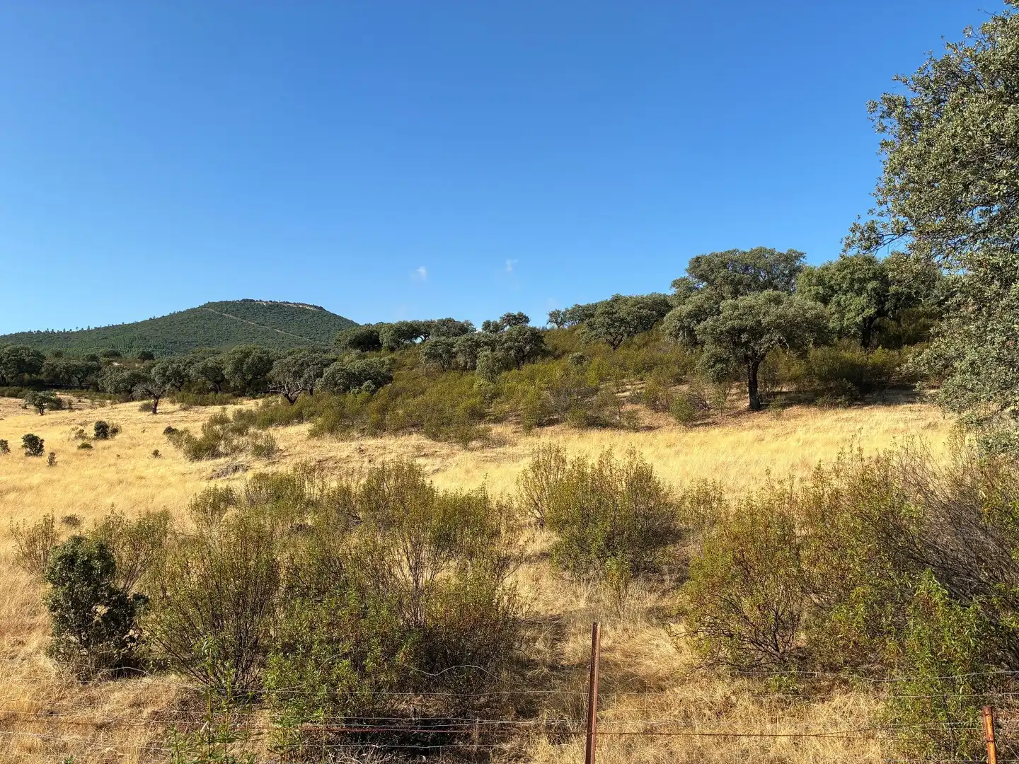 Rural land for sale in Puerto de San Vicente, imagen 17