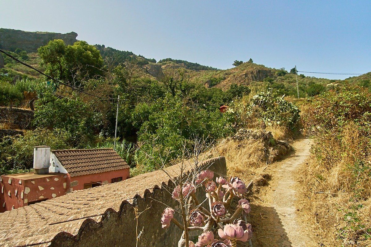 Vista exterior de Casa o xalet en venda en Vega de San Mateo amb Jardí privat i Terrassa