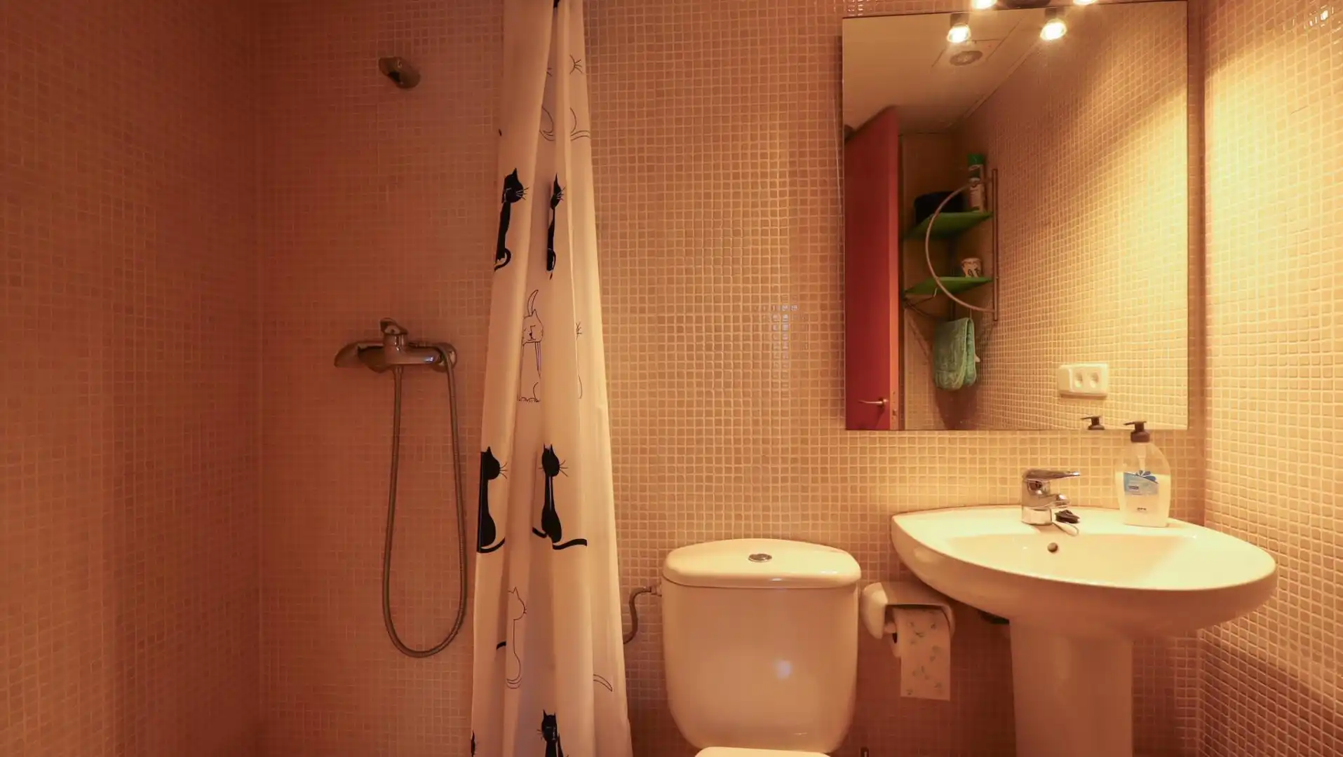 Bathroom of Flat for sale in Llançà  with Heating, Terrace and Furnished