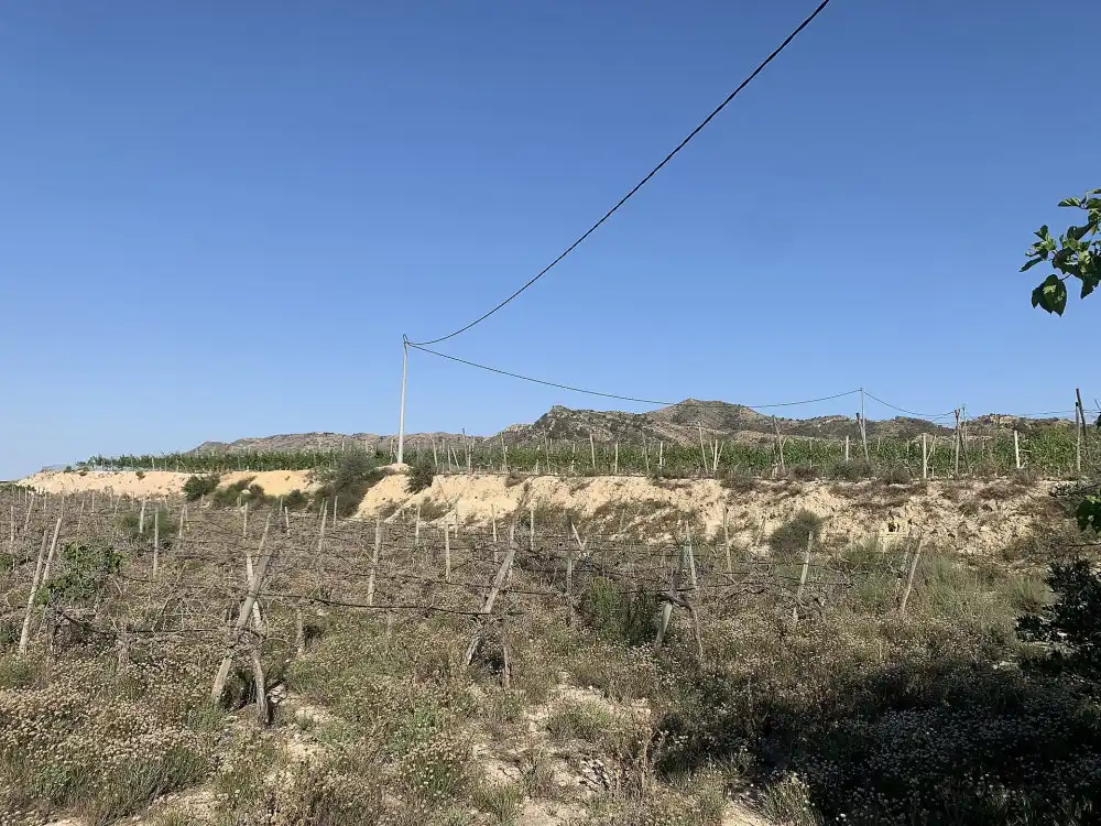 Terreno residencial en venta en Monforte del Cid, imagen 11