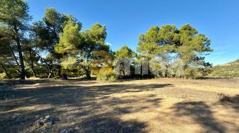 Foto 3 von Grundstücke zum Verkauf in Vinaixa, Lleida