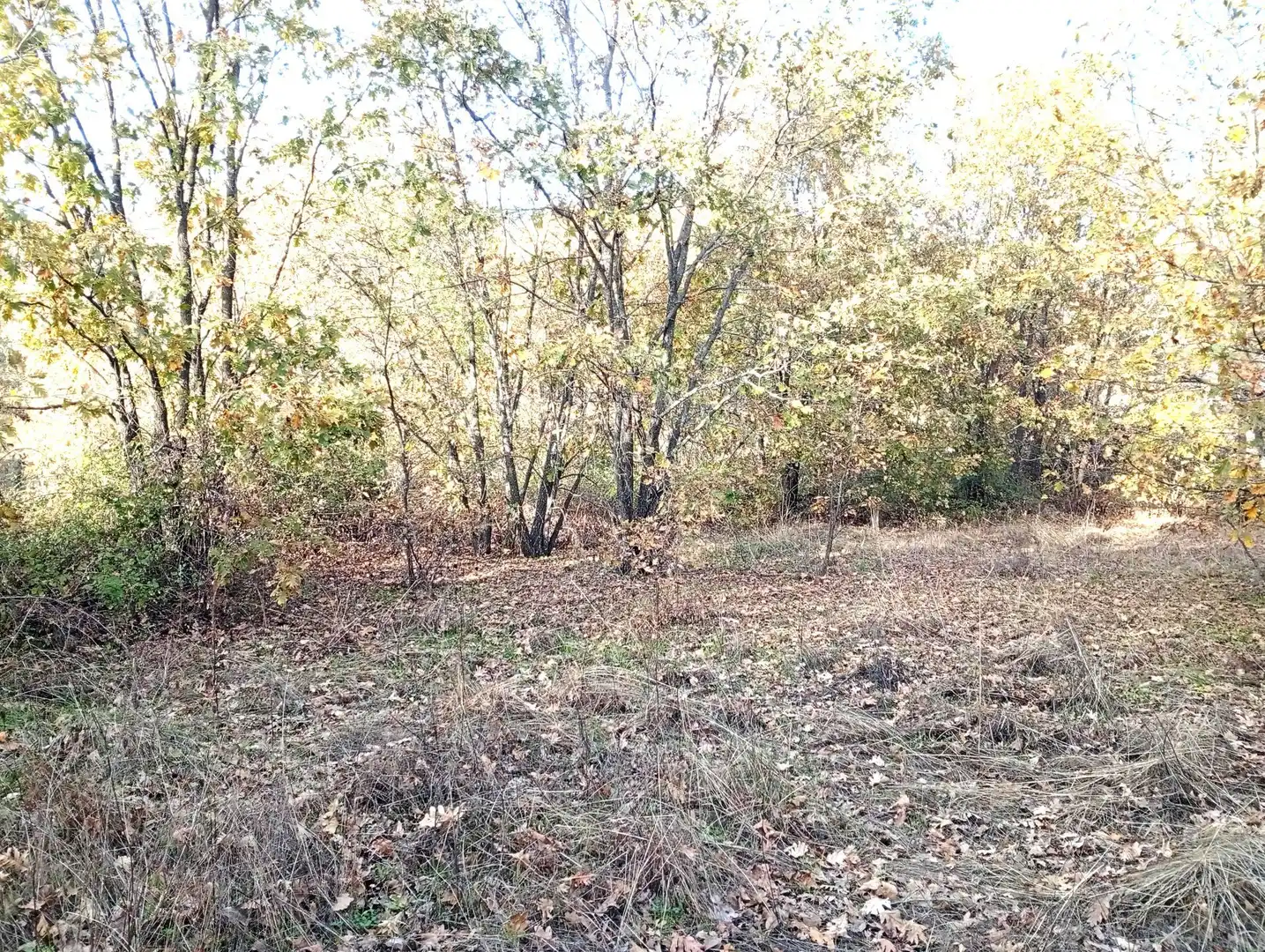 Terreni e lotti in vendita a Viandar de la Vera, imagen 5