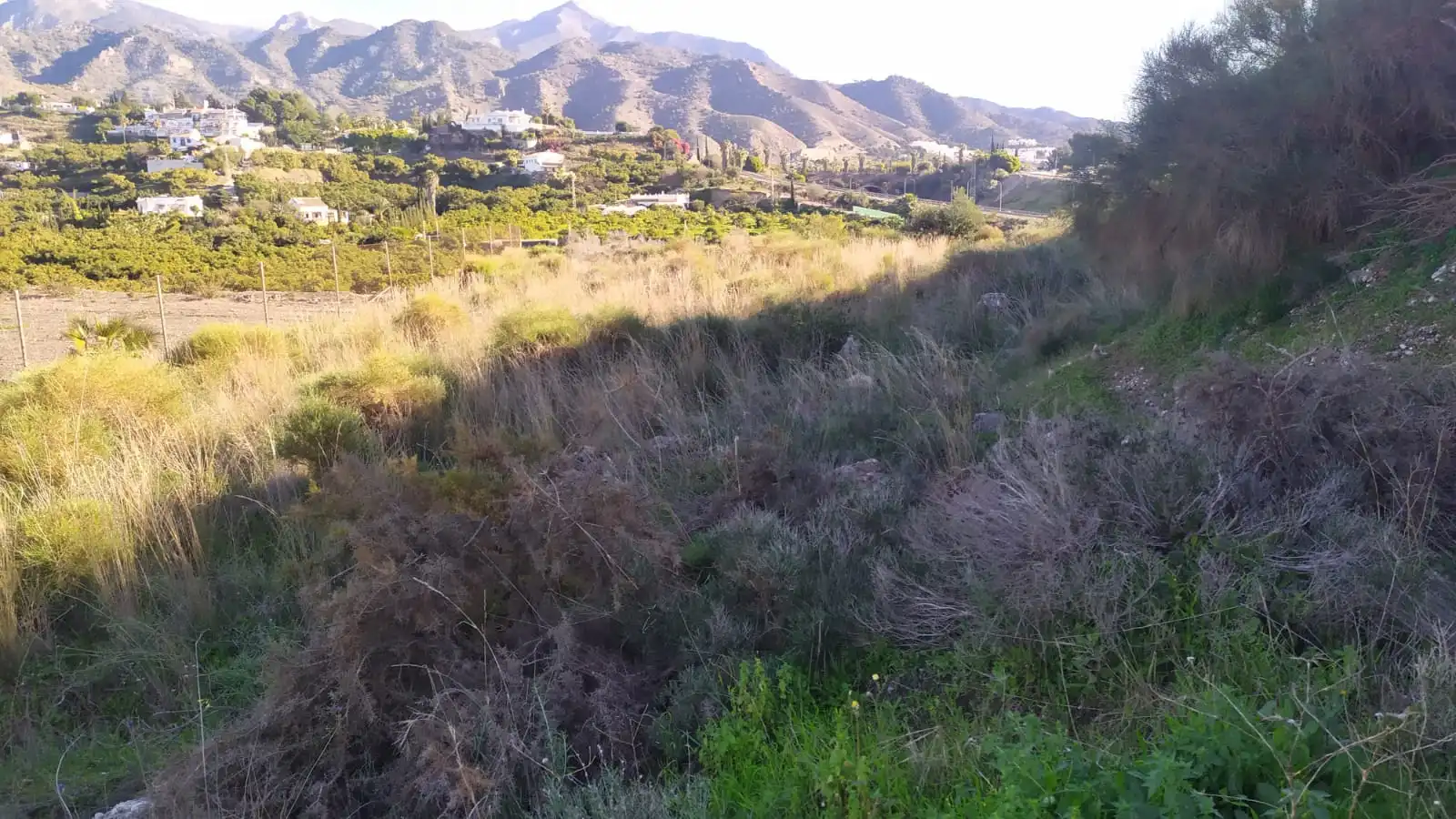 Terreni e lotti in vendita a Avenida de las Palmeras 66, imagen 11