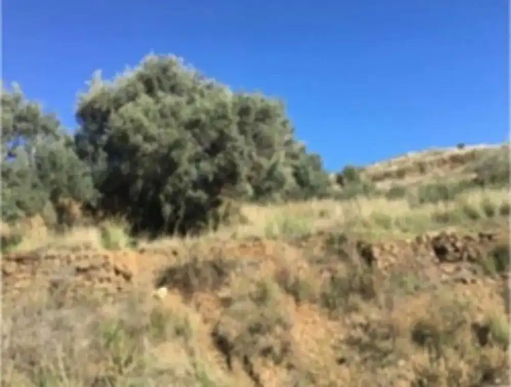 Terreni e lotti in vendita a Valtocado - La Alquería - La Atalaya, imagen 3