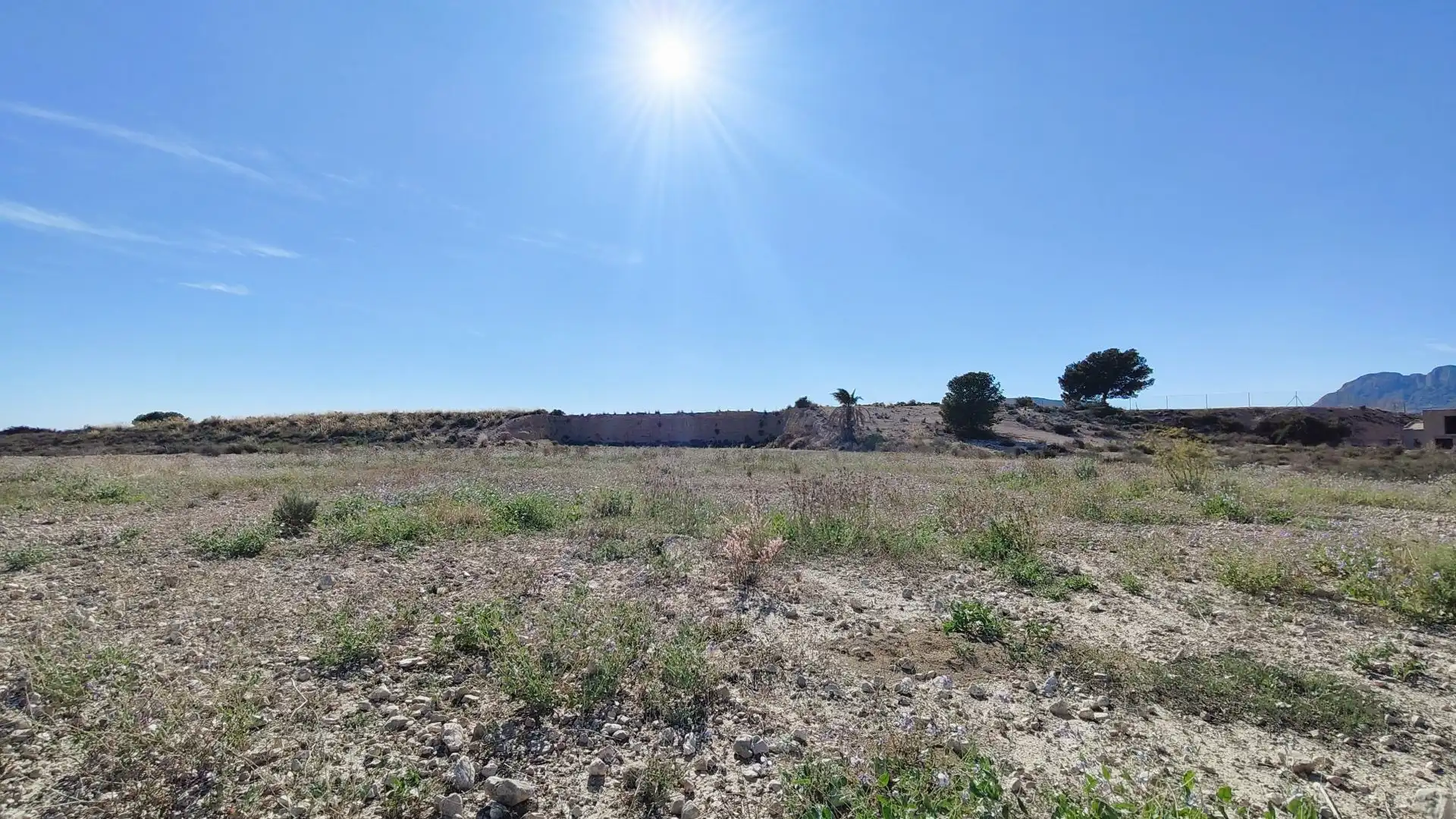 Lands and plots for sale in Abanilla, imagen 2