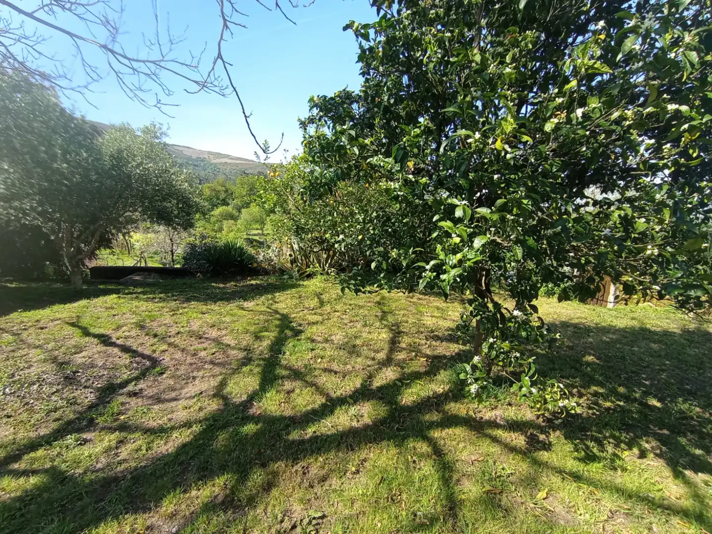 House with garden for sale in As Neves, imagen 18