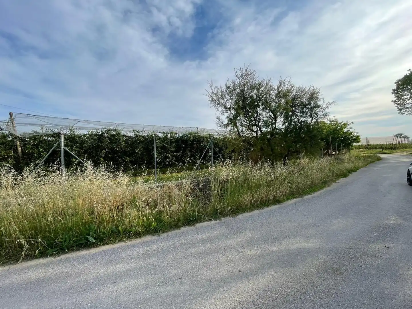 Rural land for sale in Sant Pere Pescador, imagen 27