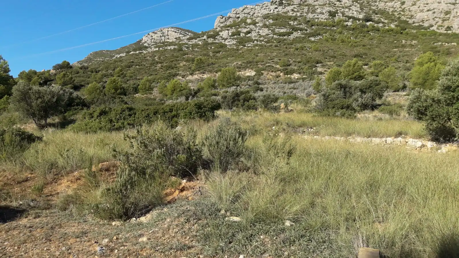 Residential land for sale in Polígono 5, imagen 7