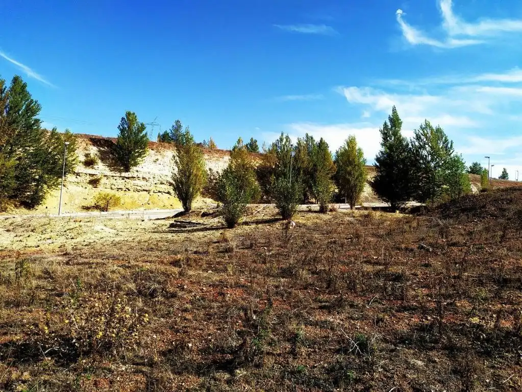 Land for sale in Buniel