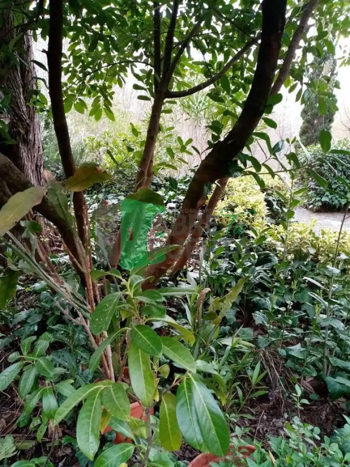 Chalet con jardín en venta en O Carballiño, imagen 21