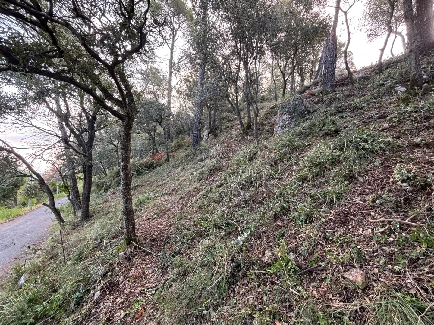 Residential land for sale in Carrer Pasarell, imagen 25