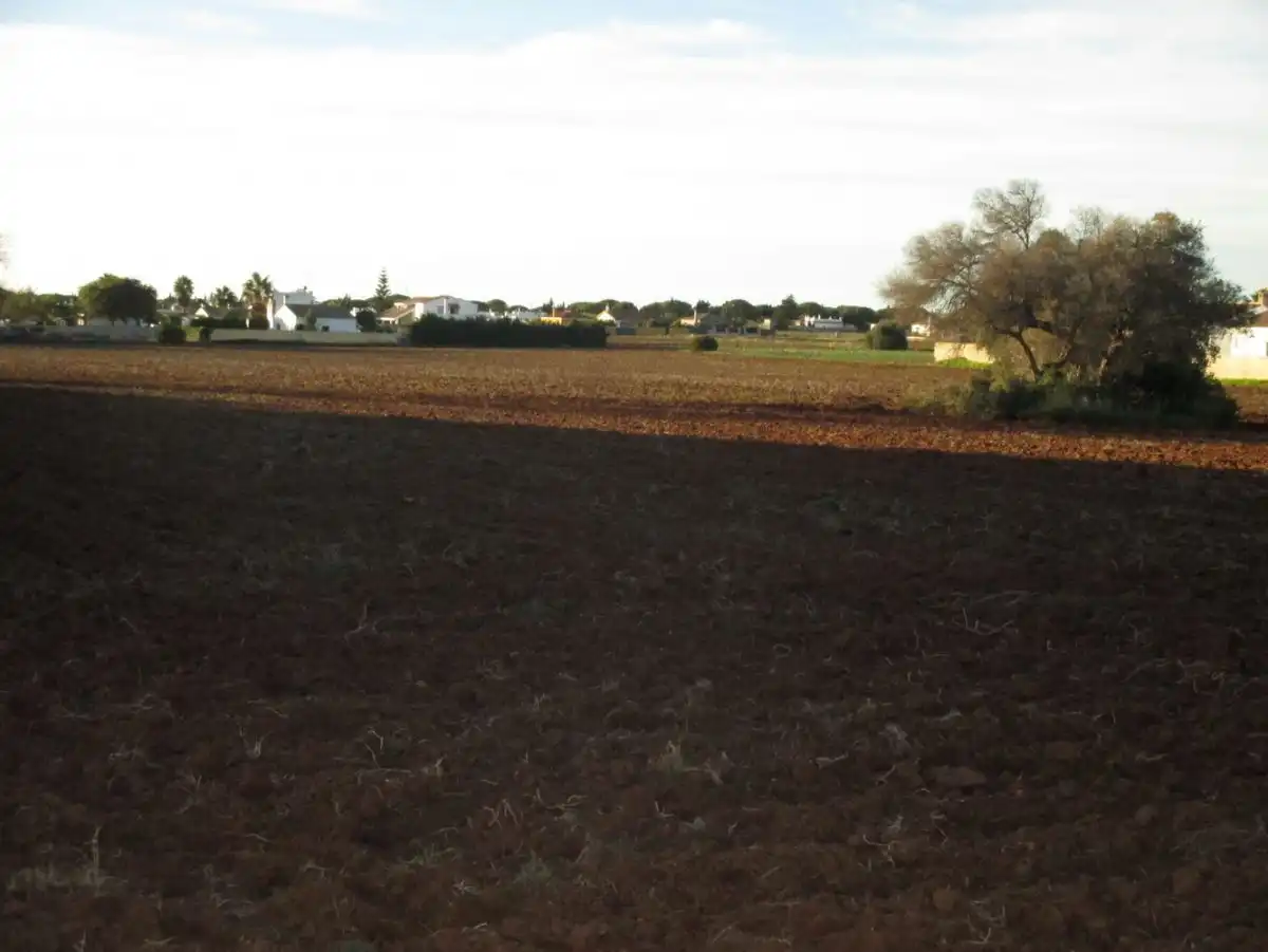Casa rústica en venda a Roche, imagen 10