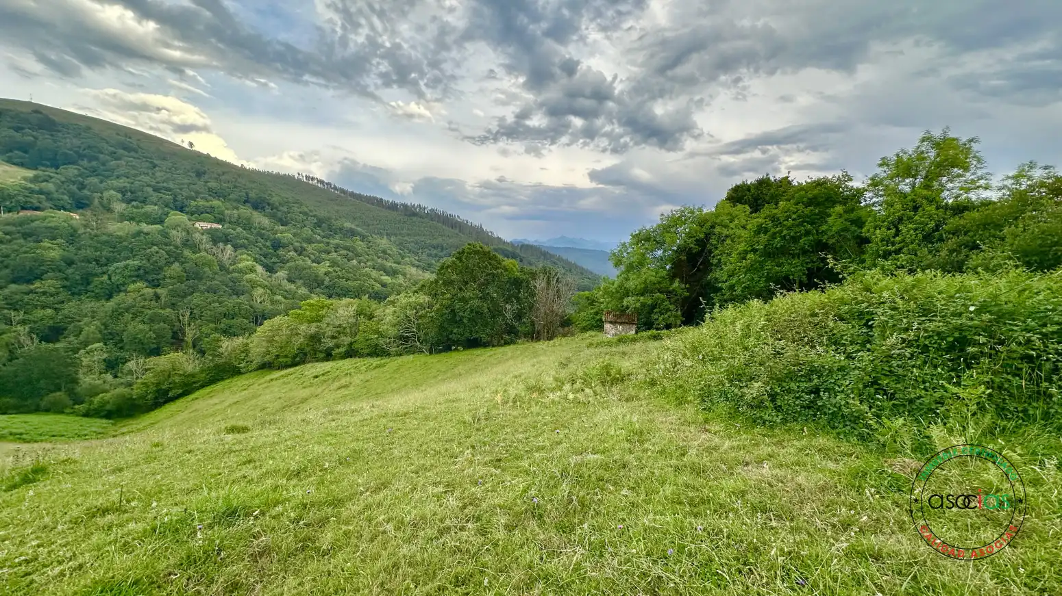 Terreno rustico in vendita a Cabranes - TORAZO, imagen 14