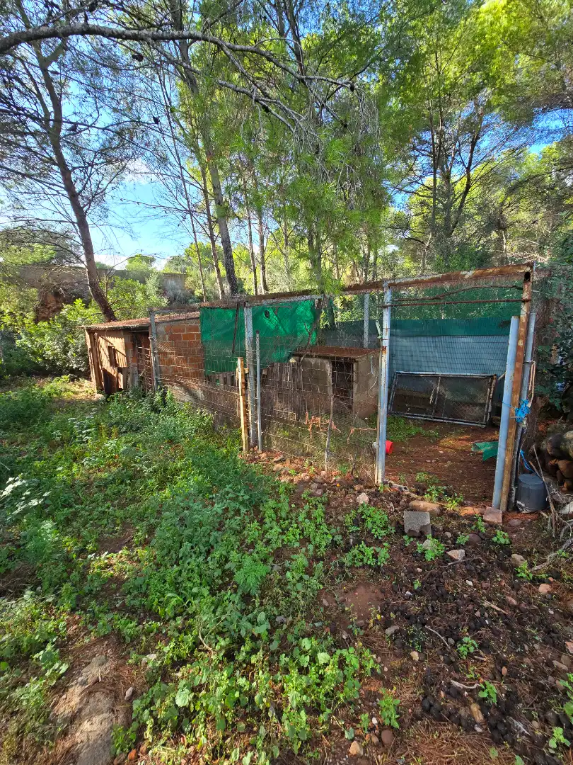 Villa avec terrasse à vendre à Torreón - La Almadraba, imagen 34