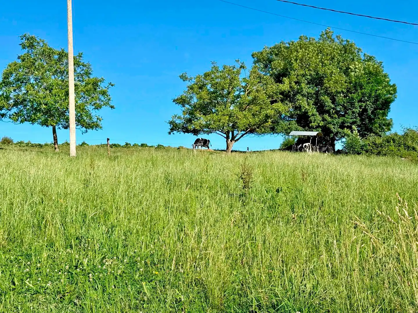 Terreno en venta en Medio Cudeyo