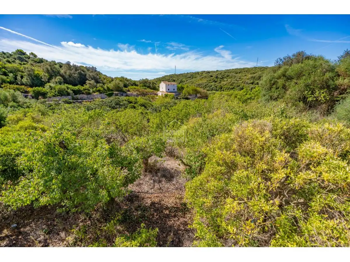 Maison rustique avec jardin à vendre à Alaior poble, imagen 14