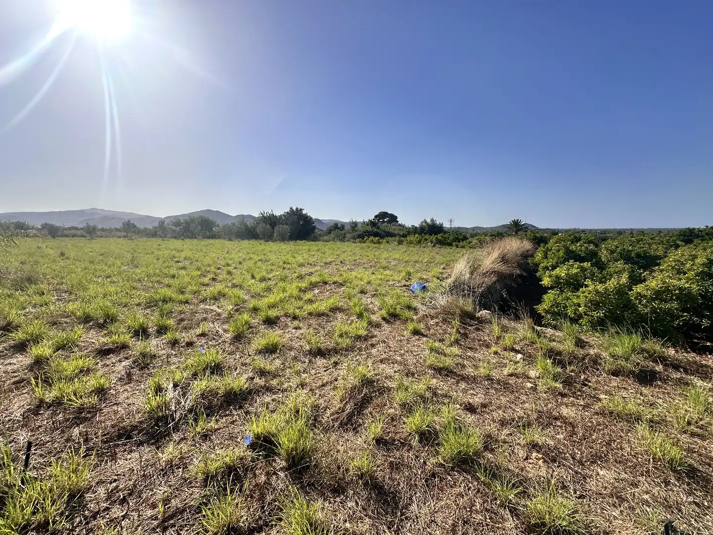 Terreno rustico in vendita a Pego, imagen 9