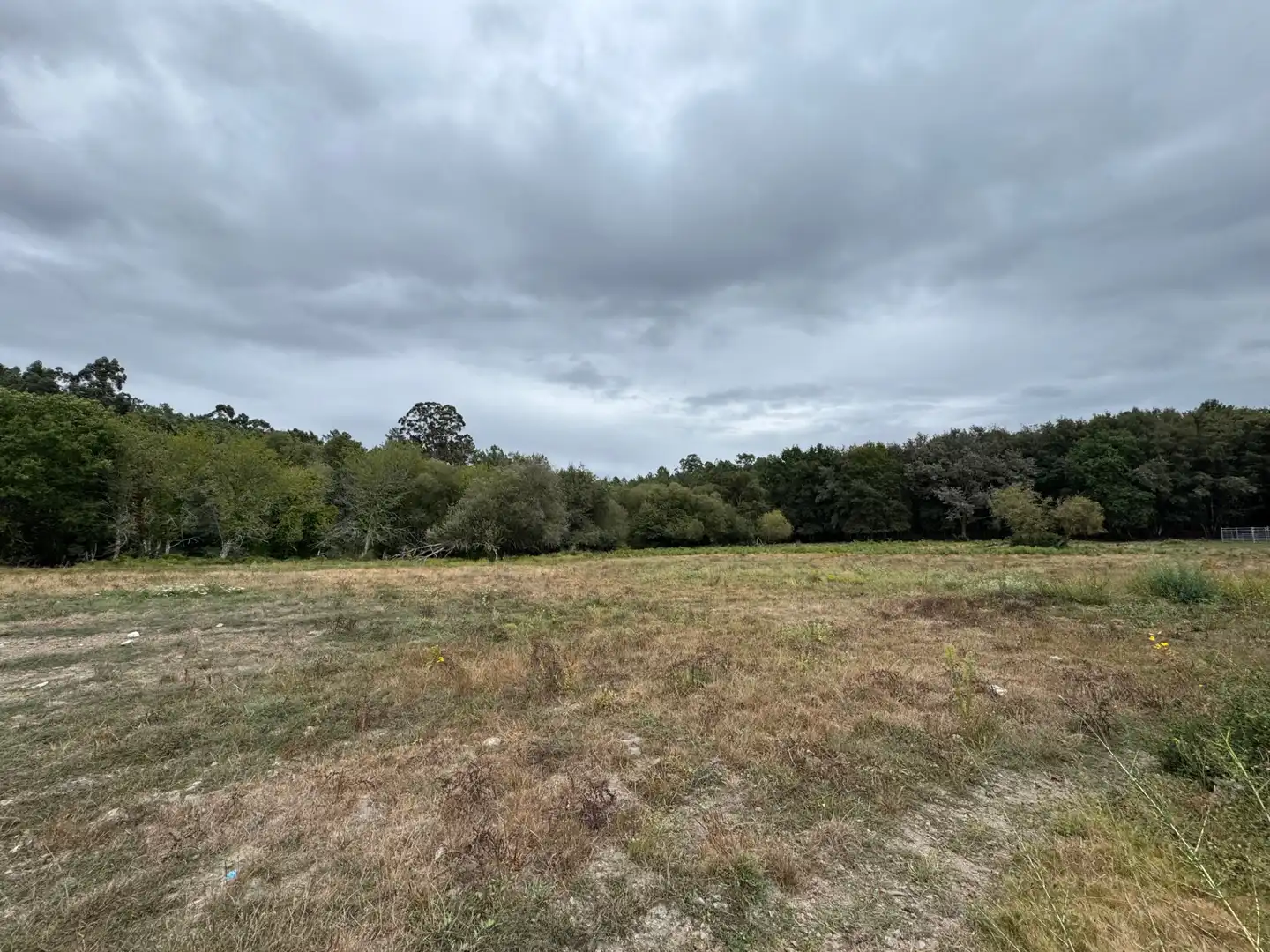 Land for sale in Boborás