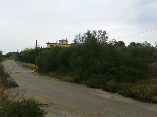 Terreny rústic en venda a C/ Son Gual, imagen 7